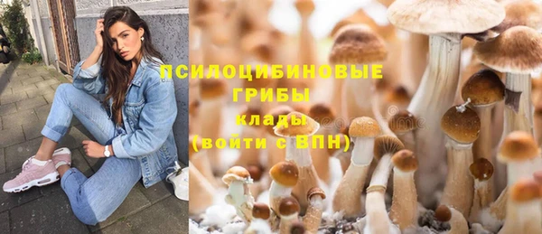 PSILOCYBIN Баксан