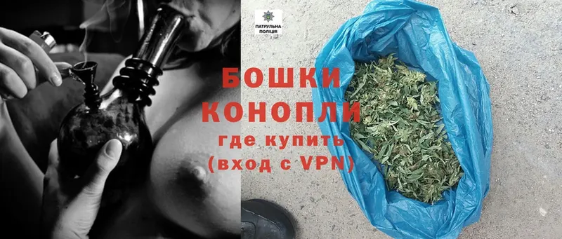 Конопля Bruce Banner  Правдинск 